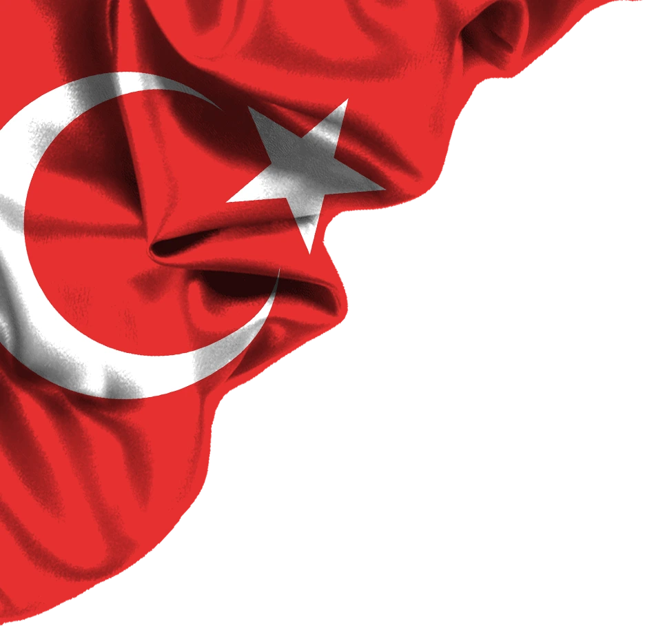 turkey-1.webp